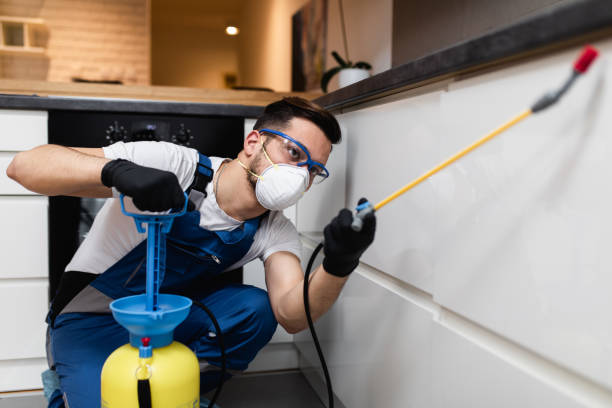 Best Pest Control Near Me  in Gainesville, FL