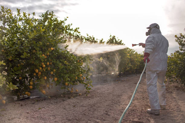 Best Affordable Pest Control Services  in Gainesville, FL
