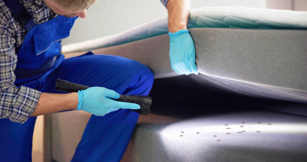 Best Mosquito Control Services  in Gainesville, FL