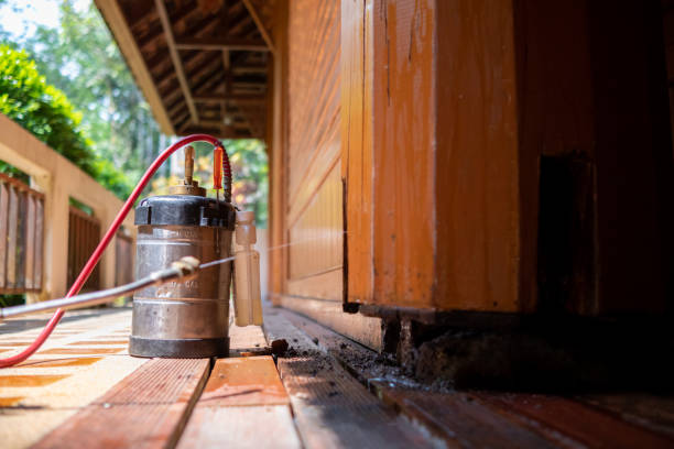 Best Pest Removal Services  in Gainesville, FL