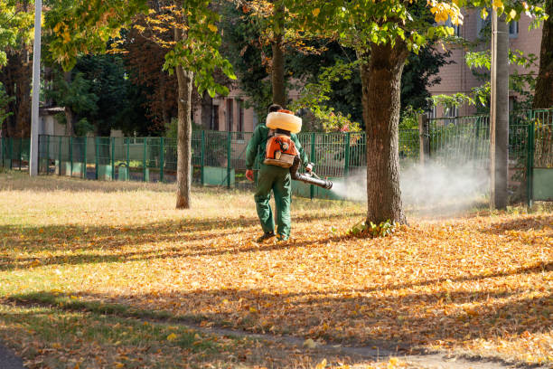 Best Residential Pest Control  in Gainesville, FL