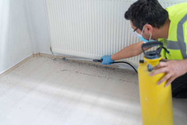 Best Termite Control Services  in Gainesville, FL