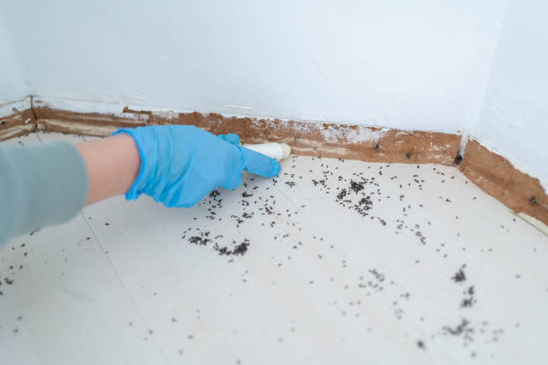 Best Pest Prevention Services  in Gainesville, FL